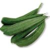 Local Ridge Gourd (Turai) 1 KG