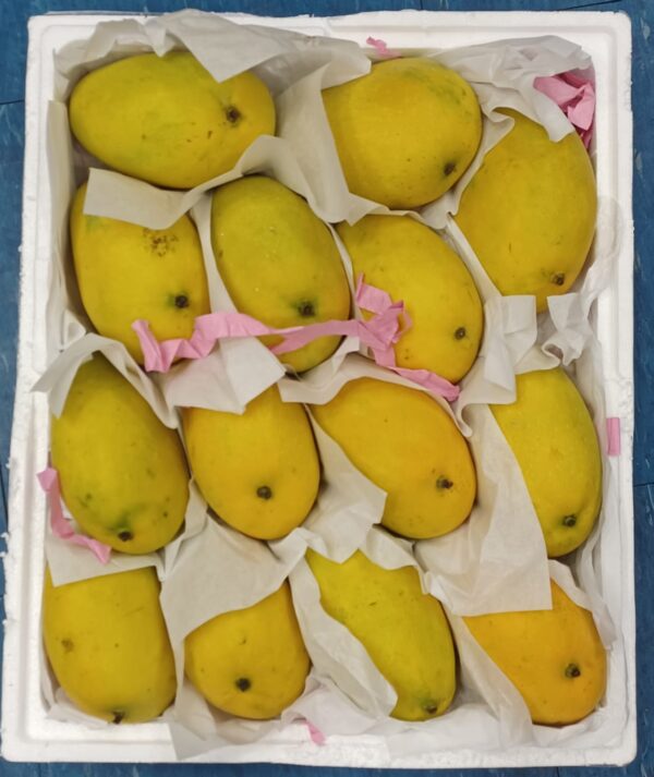 Badami Mango 4.8kg